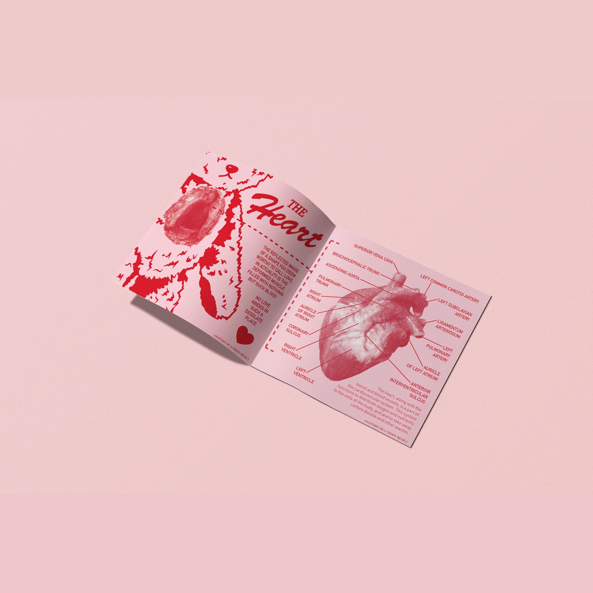 Graphic depicting a color palette of Stone Brown, Dark Navy, Beige, and Cream White along with corresponding hex color codes.