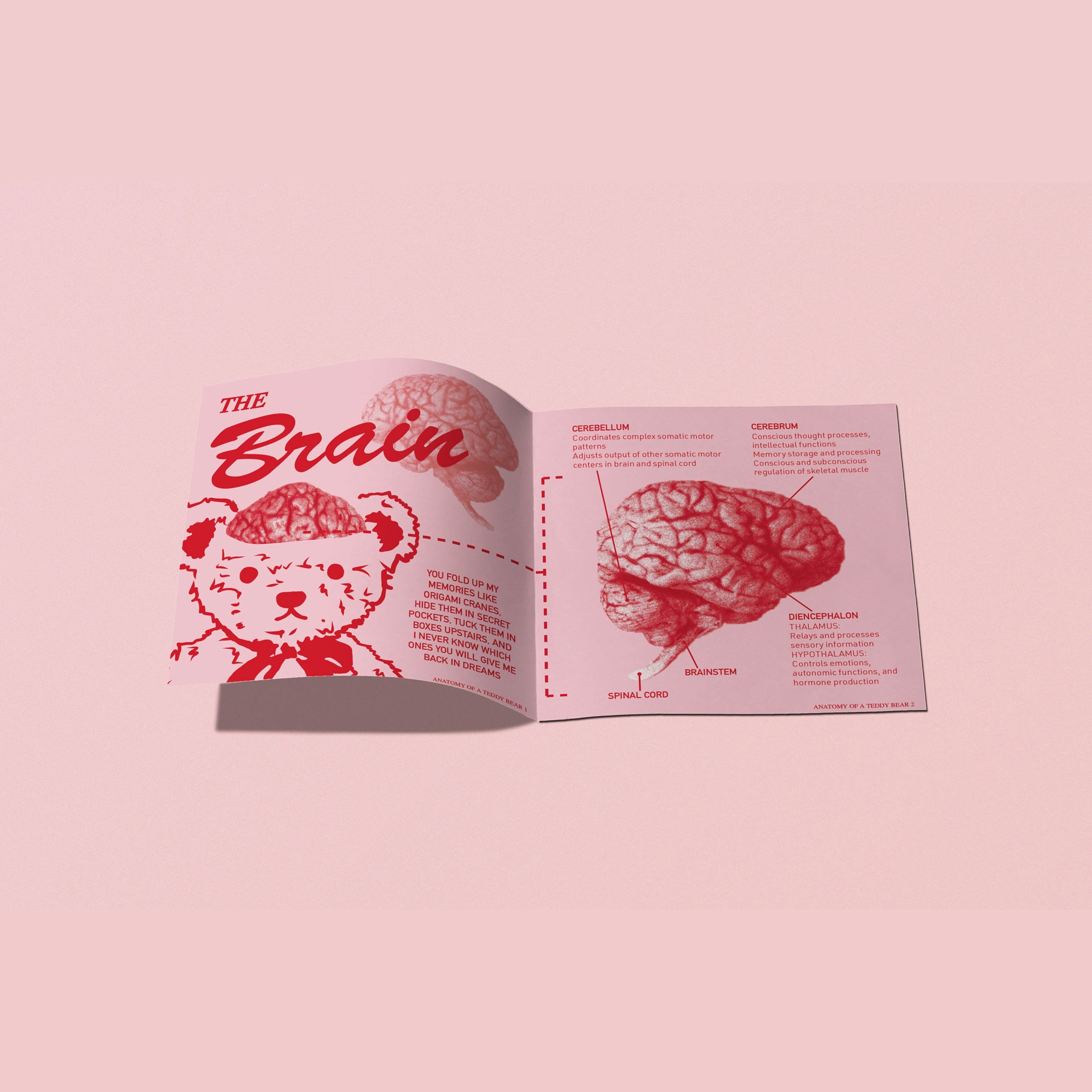 Graphic depicting a color palette of Stone Brown, Dark Navy, Beige, and Cream White along with corresponding hex color codes.